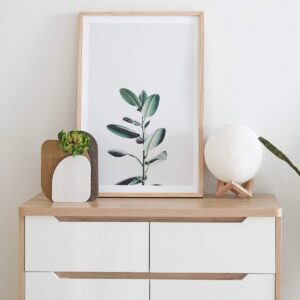 minh-pham-Wn1gmozpNZc-unsplash Fern Flower